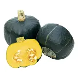 Courge découverte agroécologie FILIERE QUALITE CARREFOUR