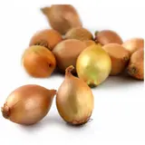 Oignons saucier sans residus de pesticides