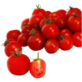 Tomate cerise baby
