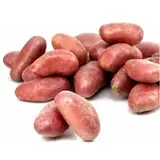 Pommes de terre Vapeur Rouge agroécologie