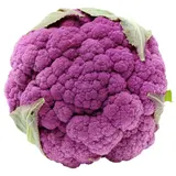 Chou fleur violet