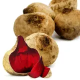Betterave Bio Label Rouge