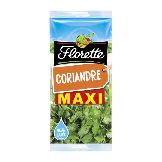 Coriandre Fraîche FLORETTE