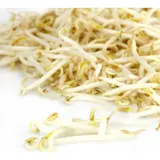 Pousse de Soja Haricot Mungo