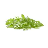 Salade  Roquette