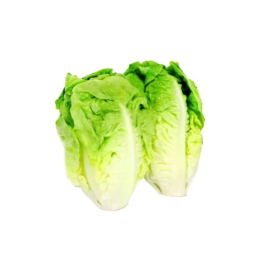 Salade  Sucrine
