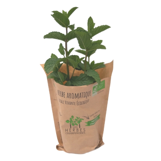 Menthe Bio LES HERBES CHAMPENOISES