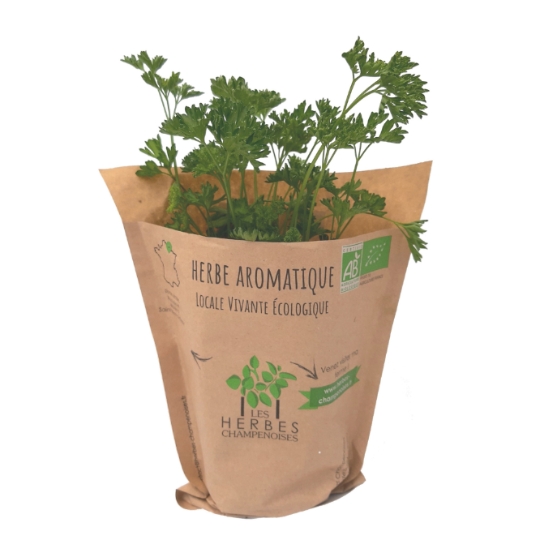 Persil Frisé Bio LES HERBES CHAMPENOISES