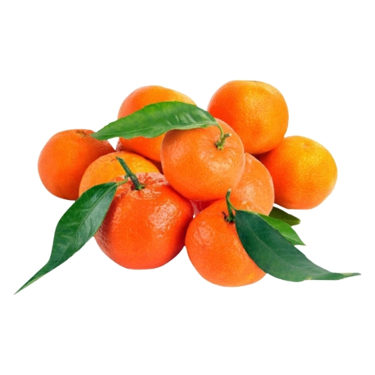 Clémentines Corse Bio Vrac