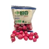 Radis Rose Équeuté Bio