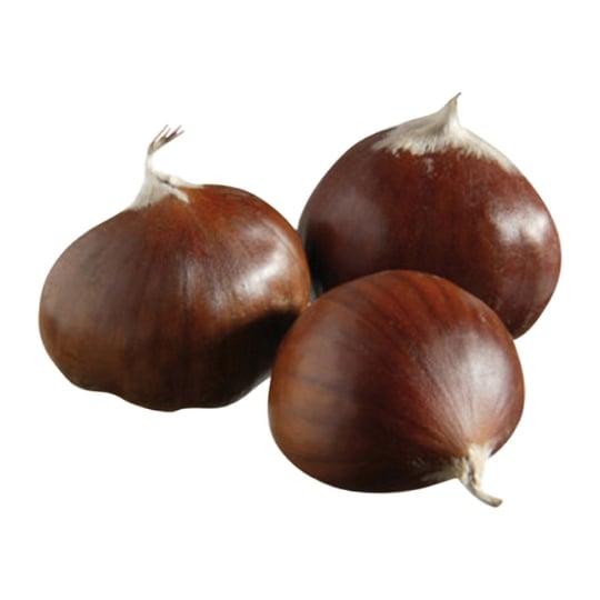Marrons G2
