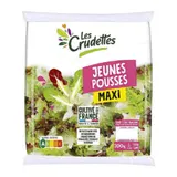 Jeunes Pousses LES CRUDETTES
