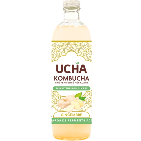 Kombucha Thé Fermenté Pétillant au Gingembre Bio UCHA