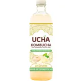 Kombucha Thé Fermenté Pétillant au Gingembre Bio UCHA