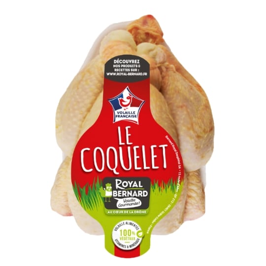 Coq : Coquelets ROYAL