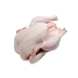 Viande de Volaille : Poulet Fermier Effilé Label Rouge