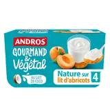 Dessert végétal brassé au lait de coco nature à l'abricot ANDROS