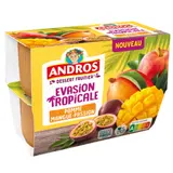 Dessert Fruitier Evasion Tropicale Pomme Mangue-Passion ANDROS