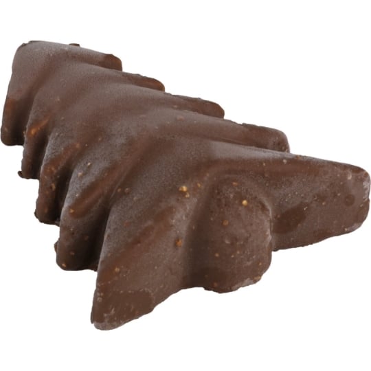 Entremet Festif Sapin