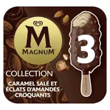 Glaces Bâtonnets Caramel Salé Amandes et Chocolat MAGNUM