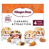 Glace en Pot Assortiment Caramel Attraction HAAGEN-DAZS