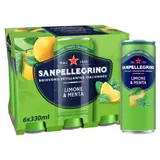 Eau Gazeuse Aromatisée Citron Menthe SAN PELLEGRINO