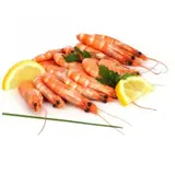 Crevettes Cuites Bio 40/60