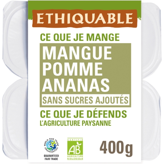 Dessert Fruitier Pomme Mangue Ananas Bio ETHIQUABLE
