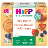 Compote bébé dès 6 mois Pomme Banane Fruits Rouges Sans Sucres Ajoutés Bio HIPP BIOLOGIQUE