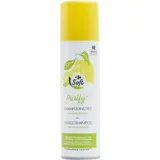 Shampoing Purifiant pour Cheveux secs Extrait de citron CARREFOUR SOFT