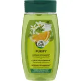 Shampoing Purifiant pour Cheveux normaux à gras Agrumes et Romarin CARREFOUR SOFT