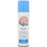 Shampoing sec rafraîchissant, tolérance testée sous contrôle dermatologique et aux extraits de fleur de pivoine CARREFOUR SOFT