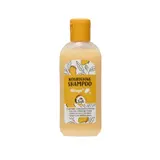 Shampoing nourrissant pour cheveux normaux, à la mangue CARREFOUR SOFT