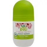 Déodorant Bille  à l'Hibiscus CARREFOUR SOFT BIO