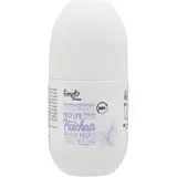 Déodorant   parfum fraîcheur 24h SIMPL