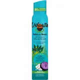 Déodorant spray Efficacité 48h Argile Absorbante Baie D'açaï USHUAIA