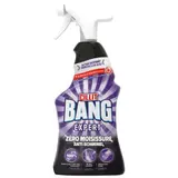 Nettoyant Ménager Anti-Moisissures CILLIT BANG