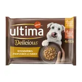Pâtée pour Chien Adulte Petit < 10kg en Sauce Poulet Boeuf ULTIMA