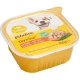 Pâtée Pour Chien Adulte En terrine Boeuf CARREFOUR COMPANINO