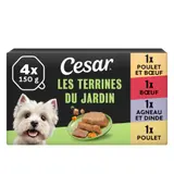 Pâtée Pour Chien Adulte En terrine Poulet Boeuf Agneau Dinde CESAR