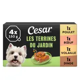 Pâtée Pour Chien Adulte Terrine Poulet Boeuf Volaille Dinde Légumes Les Terrines du Jardin CESAR