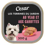 Pâtée Pour Chien Adulte En terrine Veau Carotte CESAR