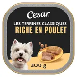 Pâtée Pour Chien Adulte Mini En terrine Poulet CESAR