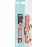 Collier et laisse Pour Chien Nylon Taille S CARREFOUR CLASSIC'