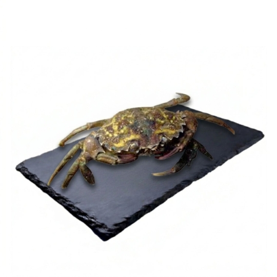 Crabe Vert