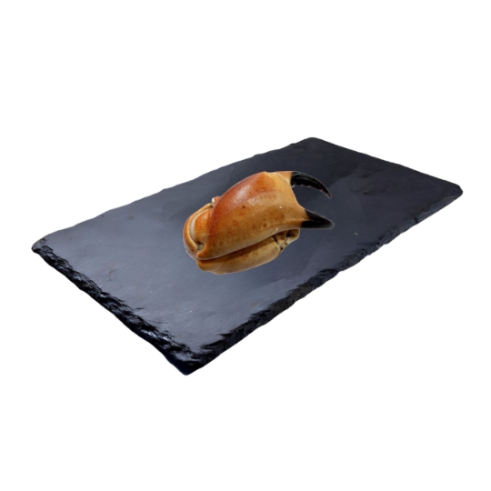 Tourteau Grosse Pince Cuite