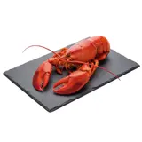 Homard Américain Cuit