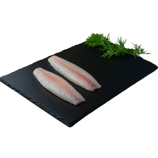Filet de Congre de Congre