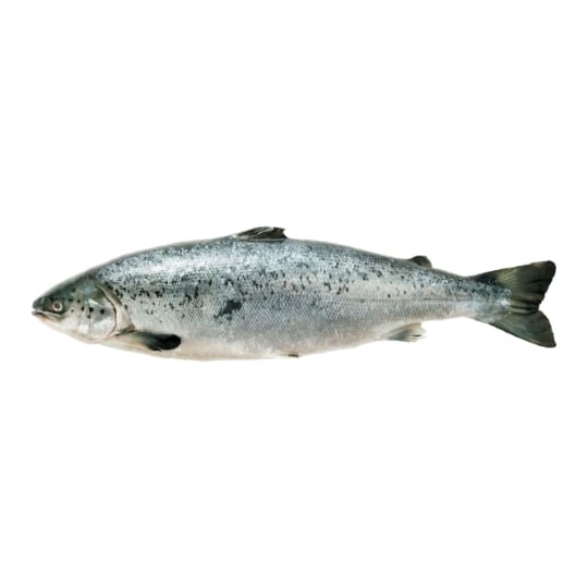 Saumon ASC Entier FILIERE QUALITE CARREFOUR