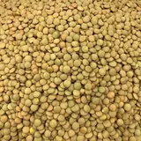 Lentille Blonde Bio En Vrac 1kg VRACBIO